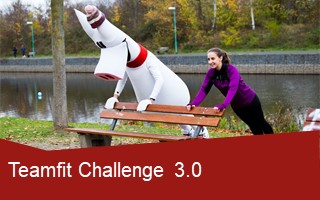 Vereinswettbewerb Teamfit 3.0 – #trotzdemSPORT Die Teamfit Challenge des LSB geht in die 3. Runde!